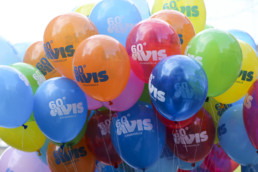 Avis Chiaravalle