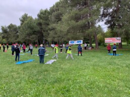 Avis Chiaravalle